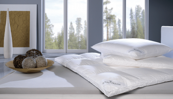 Kissen & Federbetten